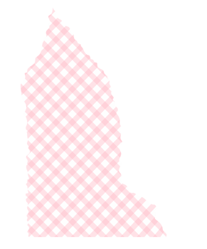 Torn Pink Gingham Washi Tape Sticker png