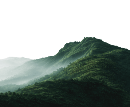 Lush green mountain landscape during misty morning light png