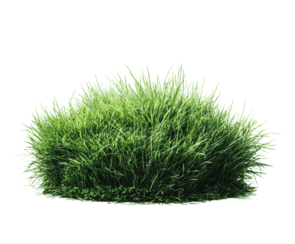 Lush green grass mound for landscaping or garden design projects png