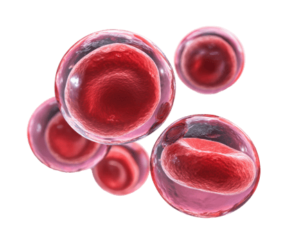 Red blood cells in motion emphasizing circulation and health png