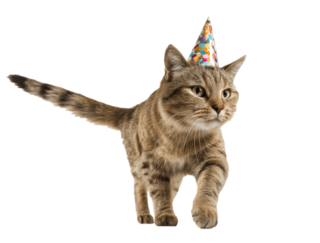 Celebrating with a playful cat wearing a party hat png