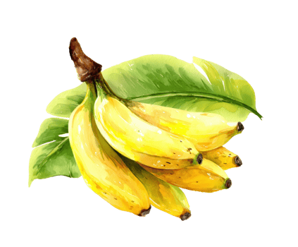 Fresh bananas with green leaves for healthy eating concepts png