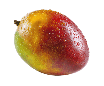 Fresh mango with water droplets ready for consumption png