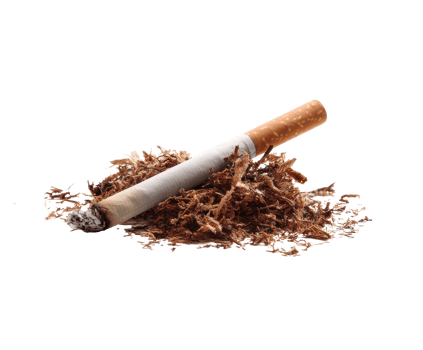 Tobacco roll with shredded leaves on a wooden surface png