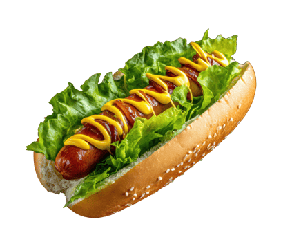 Tasty hot dog with mustard and fresh lettuce for summer enjoyment png