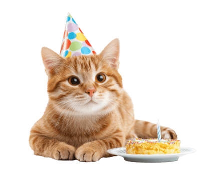 Cute orange kitten celebrating birthday with cake and party hat png