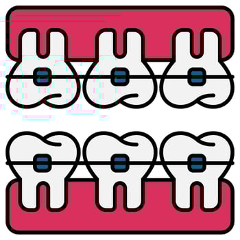 Dental Braces icon vector