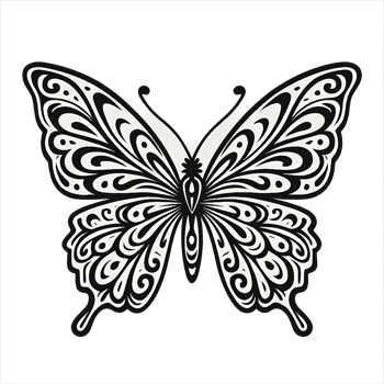 Detailed butterfly with ornamental wings in line-art style on transparent background png
