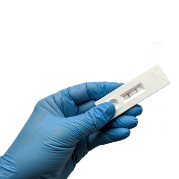 Holding Positive Test Result in Gloved Hand on Transparent Background png