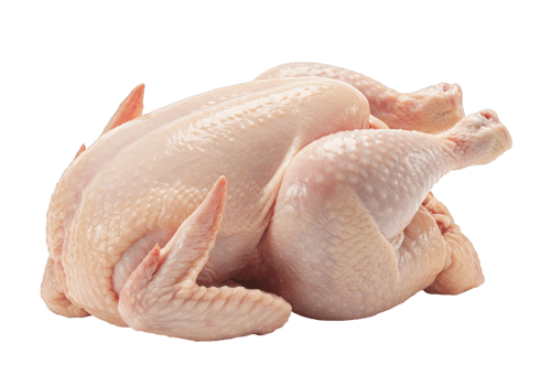 Raw Whole Chicken Ready for Cooking png