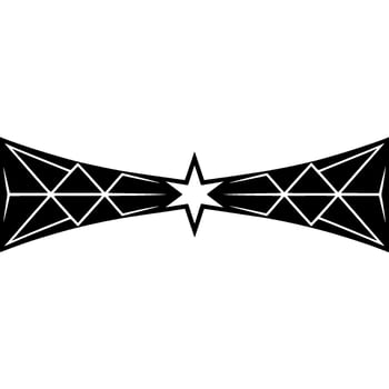 Abstract Geometric Black White Starburst vector