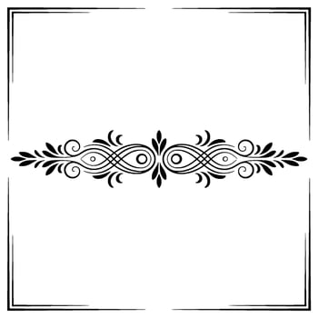 Elegant Black White Flourish Frame Border vector