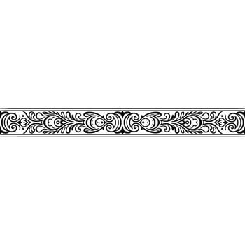 Elegant Ornamental Border In Black And Silver On White vector