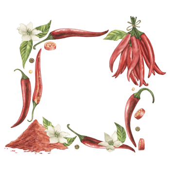 A square frame with fruits, leaves, flowers, seeds of red hot chili pepper, with a mound of ground pepper. The watercolor illustration is drawn in watercolor in a botanical style. For packaging png