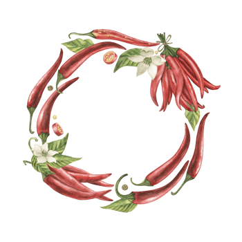 A round frame of fruits, flowers, leaves, seeds of red hot chili pepper, sliced pieces of pepper. The watercolor illustration is hand-drawn in a botanical style. For packaging, culinary design png
