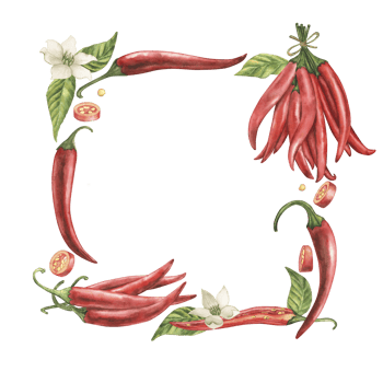 A square frame of red hot chili peppers with flowers, leaves, and spices. The watercolor illustration with fruits, pieces, and seeds of cayenne pepper is hand drawn in a botanical style. For packaging png