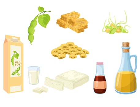 Set of cartoon soy food. Soya protein food. Soy products milk, sauce, meat, tofu, oil and so. Plant-based food and drink drawing vector
