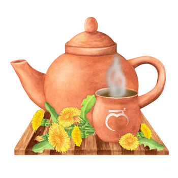 Watercolor Terracotta clay teapot and cup with hot herbal infusion or tea and dandelion flowers and leaves on wooden tray. Sanskrit symbol of root chakra. Hand-drawn illustration png