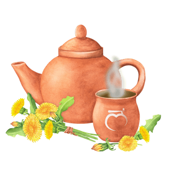 Watercolor Terracotta clay teapot and cup with Sanskrit letters of Root chakra and hot herbal infusion or tea in it. Dandelion bouquet and separated flowers and leaves. Hand-drawn illustration png
