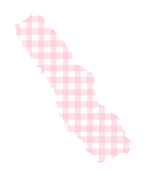 Blush Gingham Torn Tape - Soft Aesthetic Sticker png