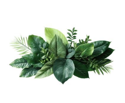 Lush tropical foliage arrangement for interior decor ideas png