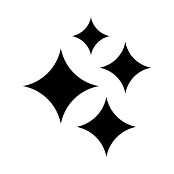 Star icon. Shine icon. Twinkling star. vector