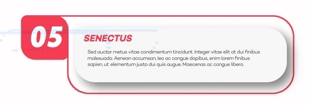 Bullet point number 5 list marker trendy style vector