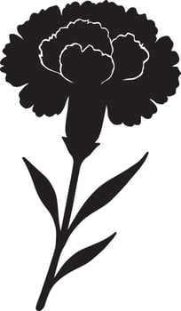 Elegant Black Silhouette of a Single Carnation Flower Blooming Gracefully on a White Background - Professional digital artwork with vibrant colors and detailed composition vector