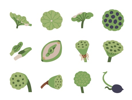 various green plants and fruits illustration vector