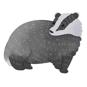 badger clipart illustration png
