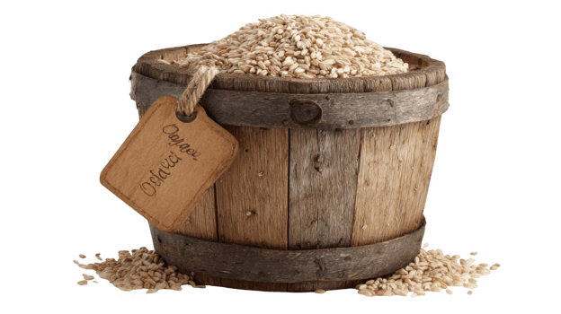 Wooden barrel overflowing with whole grain oats on transparent background png