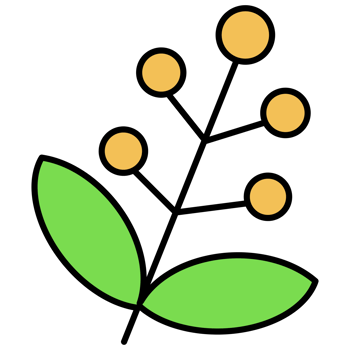 flower mini for decoration graphic design png