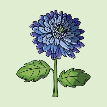 Detailed a Blue Chrysanthemum Flower Illustration vector