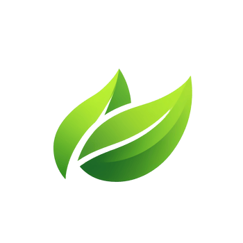 Two stylized green leaves overlapping on transparent background for design projects png