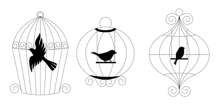 set of doodle bird cages hand drawn line art illustration metal cage collection for pet birds minimal sketch for vintage or modern home decor vector