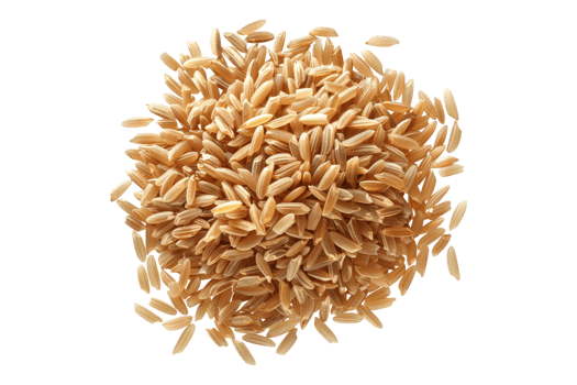 Brown rice isolated on transparent background png