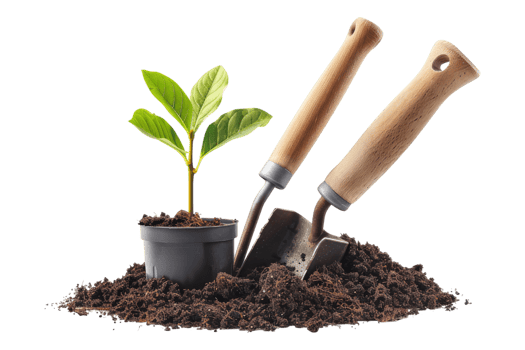 Garden tools with seedling isolated on transparent background png