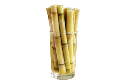Glass of sugar cane isolated on transparent background png