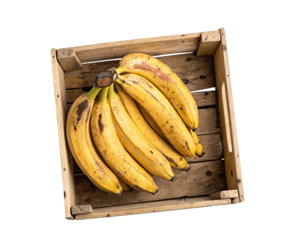 Yellow ripe bananas in a rustic wooden crate box isolated on a transparent background png