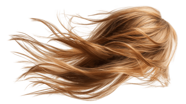 Long blond hair flowing gracefully in the wind on transparent background png