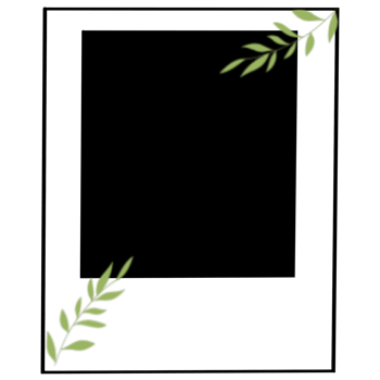 a black and white photo frame with green leaves png