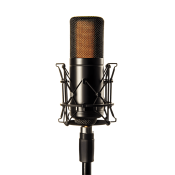 Professional Studio Microphone on Transparent Background png