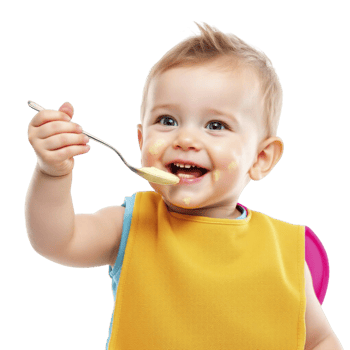 A baby in a bib holding a spoon png