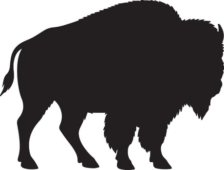 Bison Solid black silhouette vector