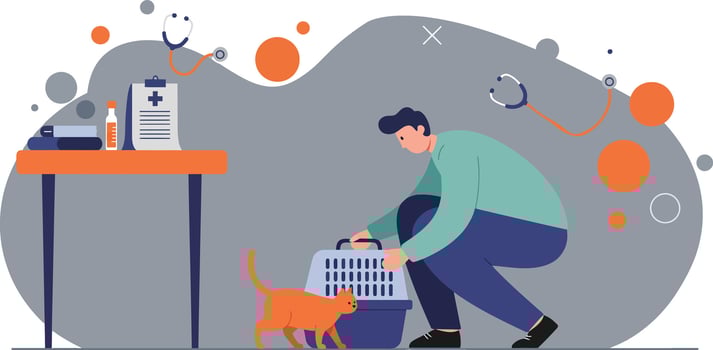 Man preparing pet cat carrier for veterinary visit with medical supplies in background illustration vector