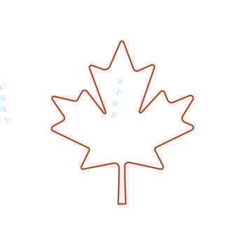 Maple leaf icon isolate on white background. vector