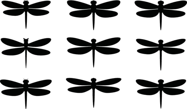 Silhouette dragonflies on a white background simple insect pattern summer theme vector