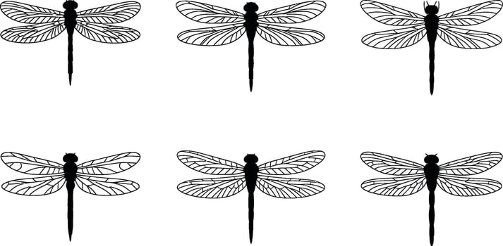 Dragonfly silhouettes in a repeating pattern on a white background insect design vector