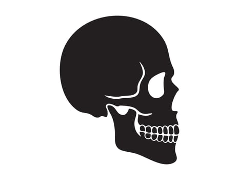 Black silhouette of human skull in side view isolated on white background, graphic illustration. concept of anatomy, halloween icon, skull art, design element vector