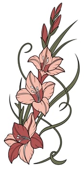 close-up the flowers of the Gladiolus flower arranged beautifully and decorated with vines vector